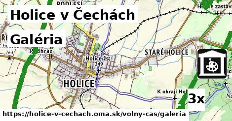 Galéria, Holice v Čechách