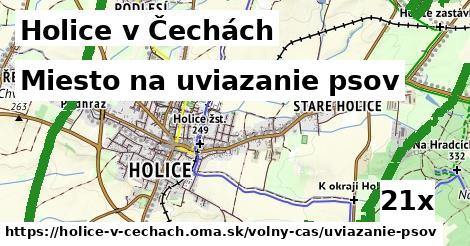 Miesto na uviazanie psov, Holice v Čechách