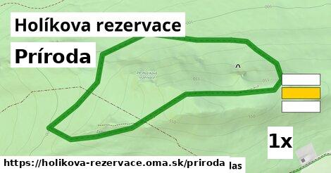 príroda v Holíkova rezervace