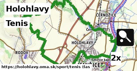 Tenis, Holohlavy