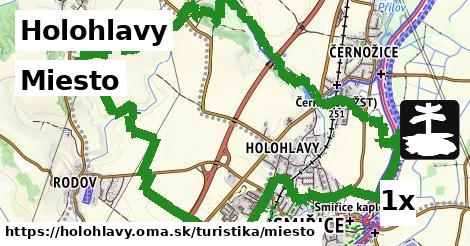 Miesto, Holohlavy