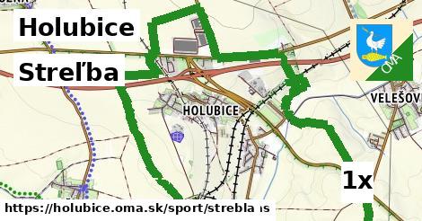 streľba v Holubice