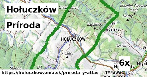 príroda v Hołuczków