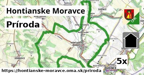 príroda v Hontianske Moravce