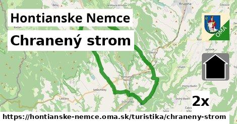 Chranený strom, Hontianske Nemce