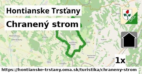 Chranený strom, Hontianske Trsťany