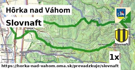 Slovnaft, Hôrka nad Váhom