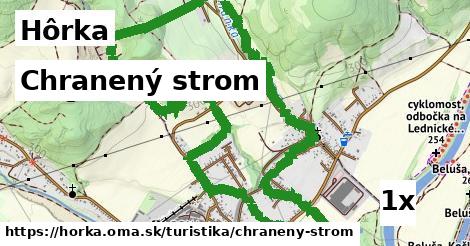 Chranený strom, Hôrka