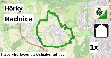 Radnica, Hôrky