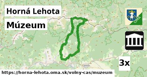 Múzeum, Horná Lehota