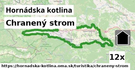 Chranený strom, Hornádska kotlina