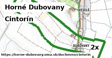 Cintorín, Horné Dubovany