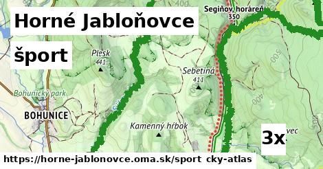 šport v Horné Jabloňovce