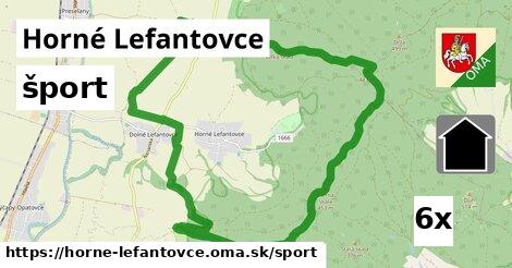 šport v Horné Lefantovce