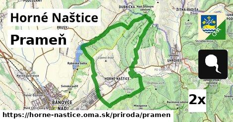 Prameň, Horné Naštice