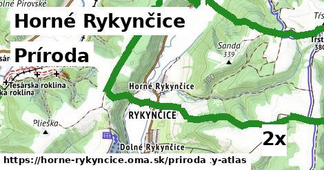 príroda v Horné Rykynčice