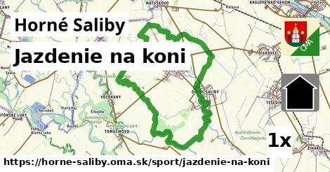 jazdenie na koni v Horné Saliby
