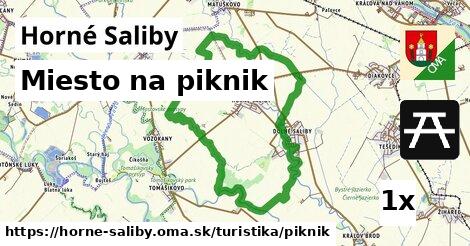 miesto na piknik v Horné Saliby