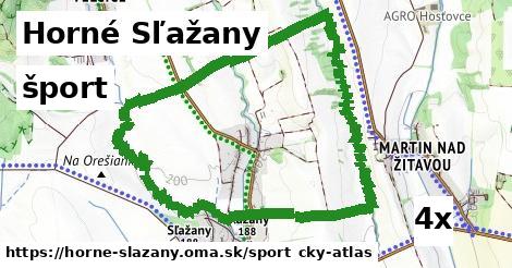 šport v Horné Sľažany