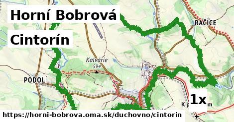 cintorín v Horní Bobrová