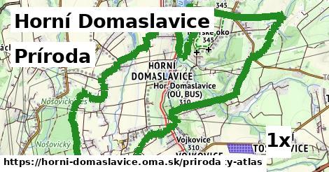 príroda v Horní Domaslavice