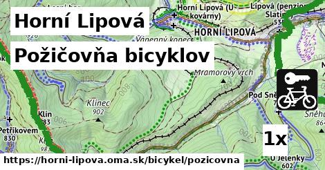 požičovňa bicyklov v Horní Lipová