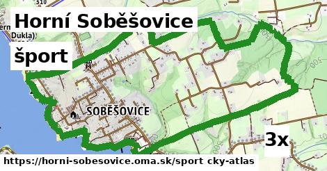 šport v Horní Soběšovice