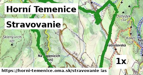 stravovanie v Horní Temenice