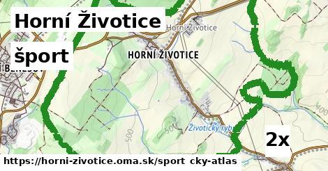 šport v Horní Životice