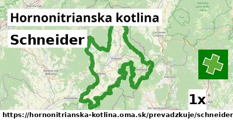 Schneider, Hornonitrianska kotlina