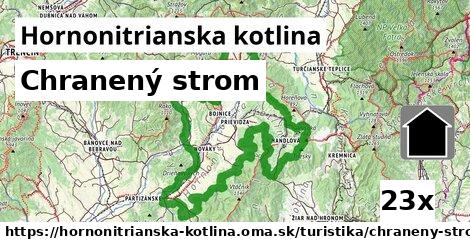 Chranený strom, Hornonitrianska kotlina