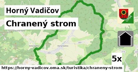 Chranený strom, Horný Vadičov