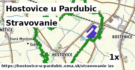 stravovanie v Hostovice u Pardubic