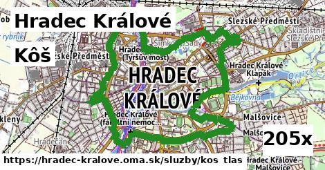 Kôš, Hradec Králové