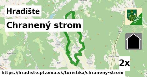 chranený strom v Hradište, okres PT