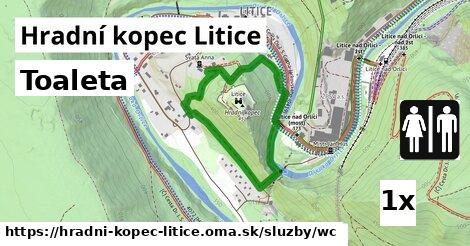 Toaleta, Hradní kopec Litice