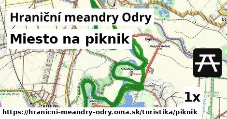 Miesto na piknik, Hraniční meandry Odry