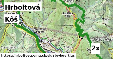 Kôš, Hrboltová