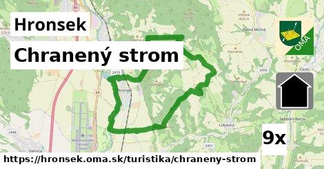 Chranený strom, Hronsek