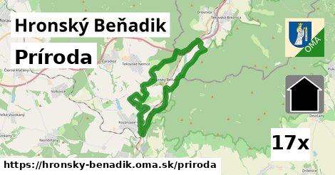 príroda v Hronský Beňadik