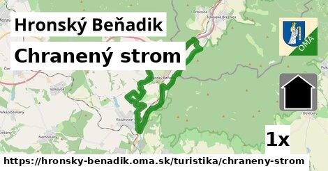 Chranený strom, Hronský Beňadik