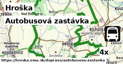 Autobusová zastávka, Hroška