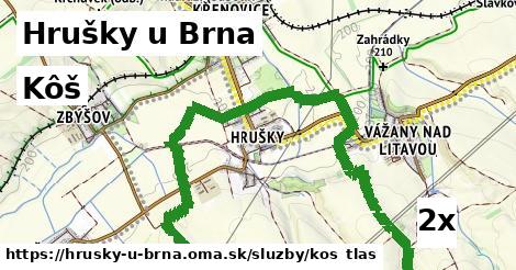 Kôš, Hrušky u Brna