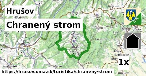 Chranený strom, Hrušov