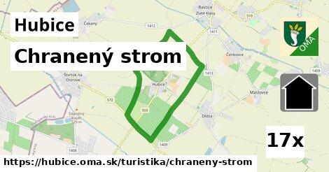 Chranený strom, Hubice