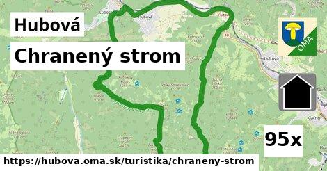 Chranený strom, Hubová