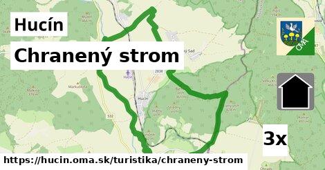 Chranený strom, Hucín