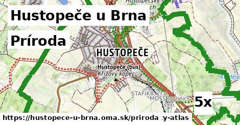 príroda v Hustopeče u Brna