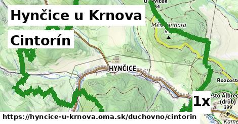 cintorín v Hynčice u Krnova