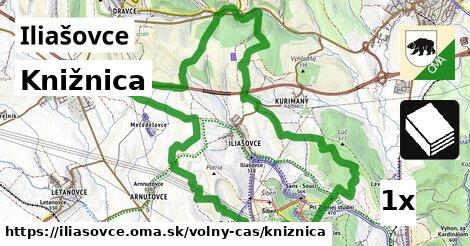 Knižnica, Iliašovce